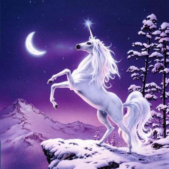 白天独角仙幼虫在哪抓_白天抓独角仙会怎么样_白天独角仙在哪抓