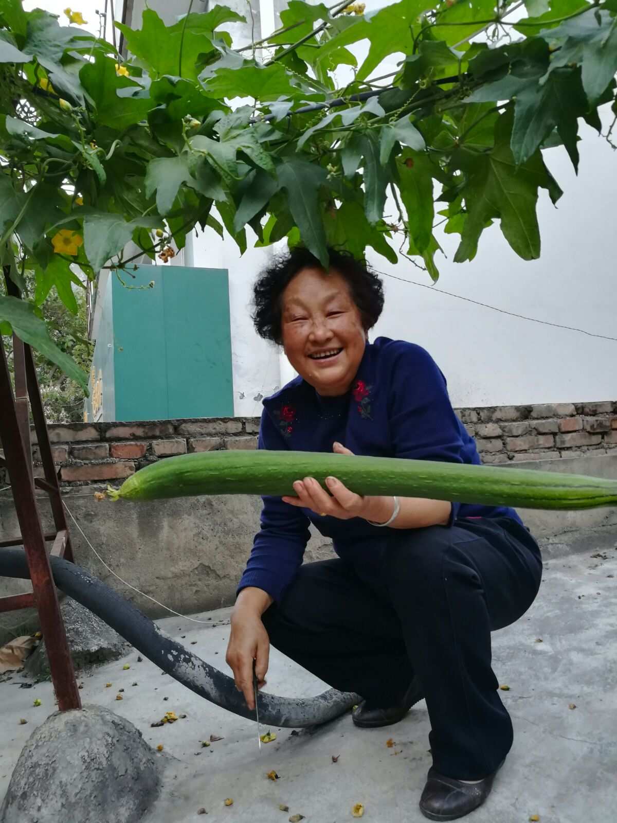 丝瓜视频懂你更多_丝瓜视频懂你更多_丝瓜视频懂你更多