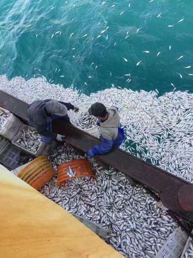 追寻深海之谜，探寻蔚蓝天际