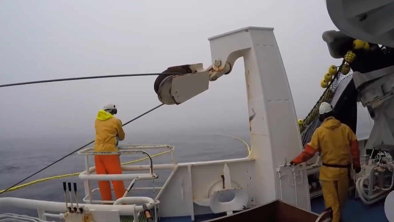 捕鱼深海狩猎小说_深海捕鱼_捕鱼深海狩猎