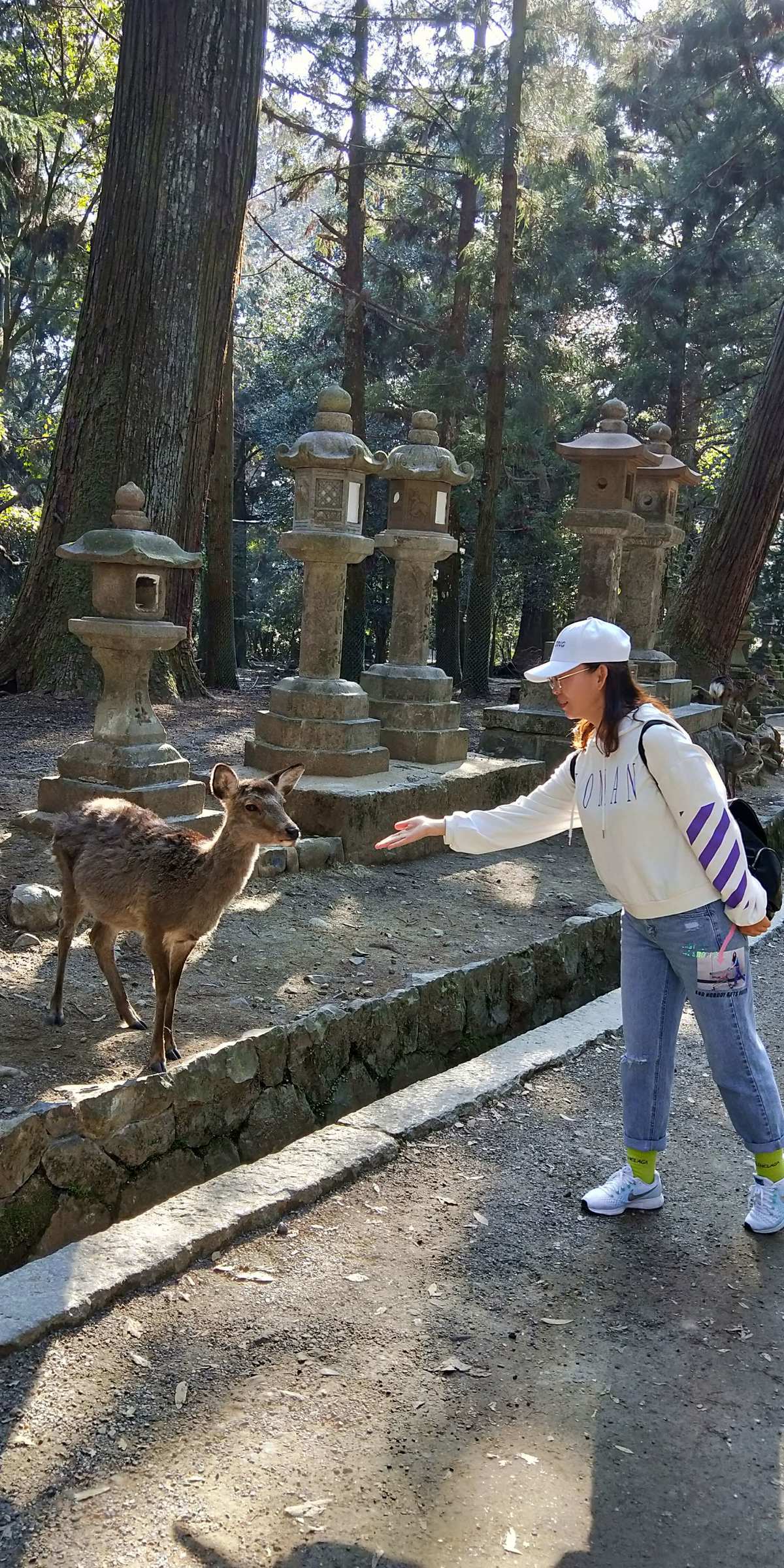 奈良鹿久_奈良鹿久多少集死的_奈良鹿久的父亲叫什么