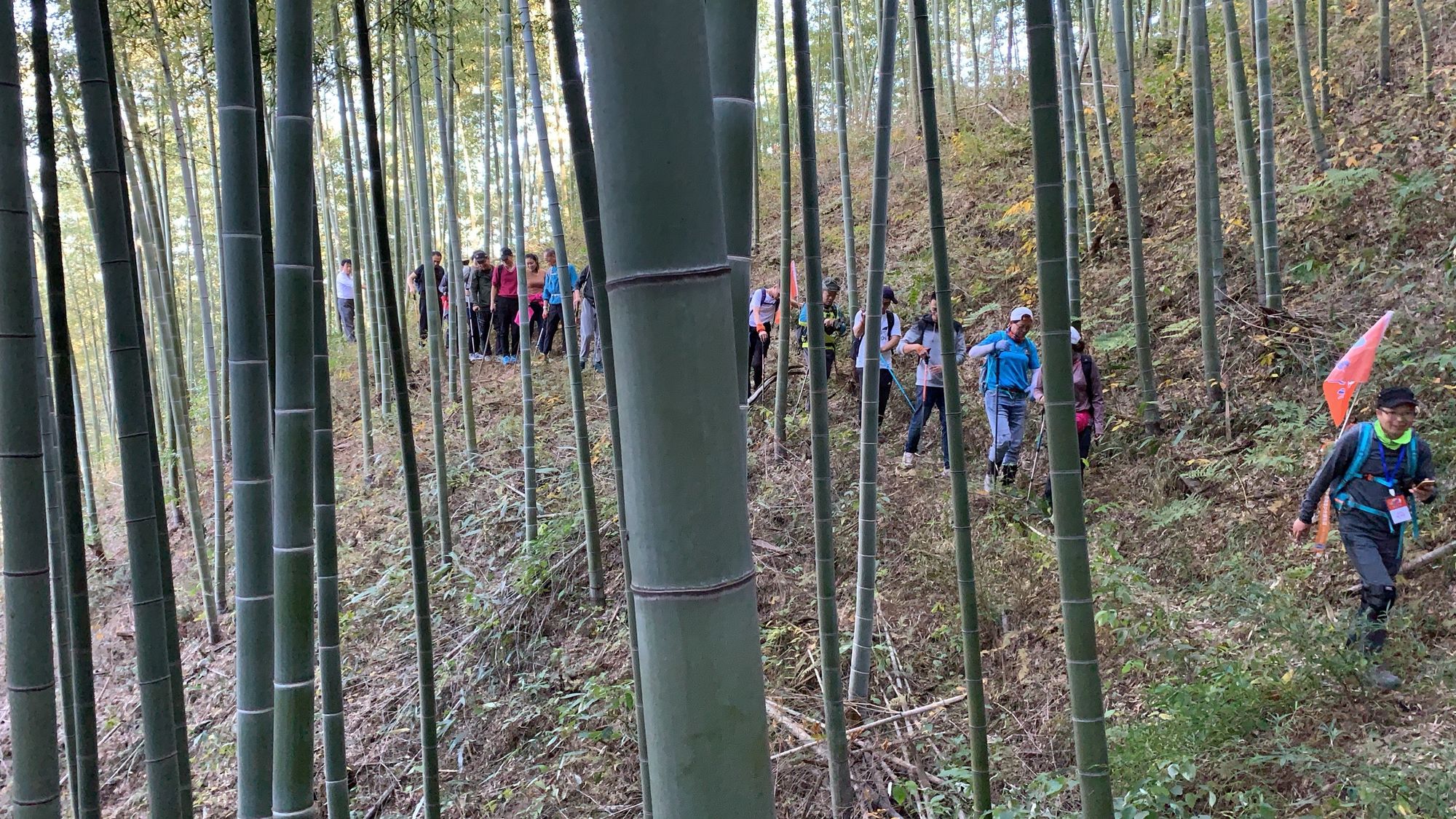 井竹集团_竹井之旅游戏_井竹实业有限公司