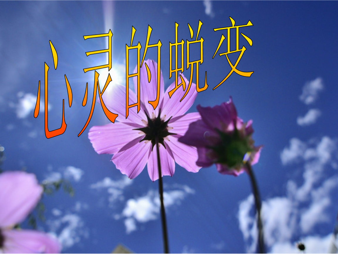 柯岚_柯岚_柯岚