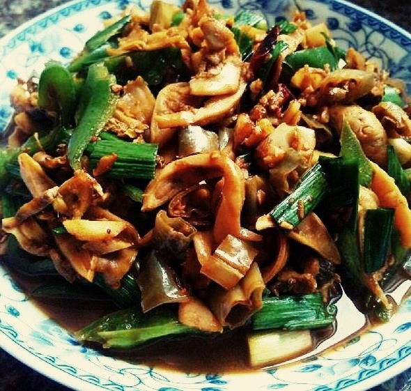裂开的蚌肉_裂开的蚌肉_裂开的蚌肉
