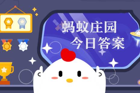 盐中蚂蚁庄园：秘密揭示