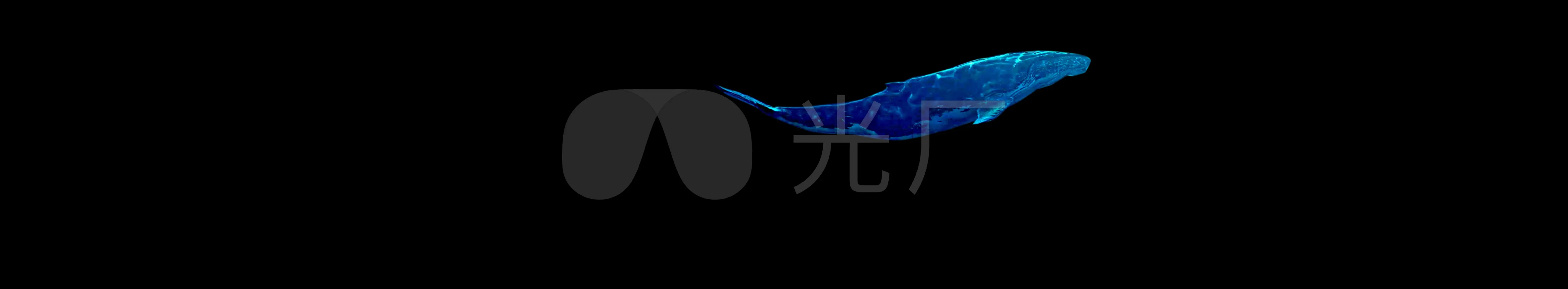 蓝鲸app为什么打不开_蓝鲸app_蓝鲸体育app