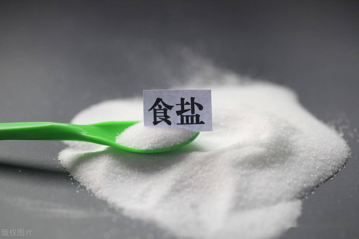盐地芬妮多片_地中之盐_盐地碱蓬