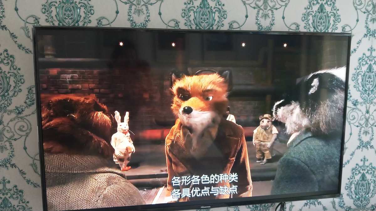 狐狸观看在线小说_小狐狸3在线观看_狐狸视频在线观看的