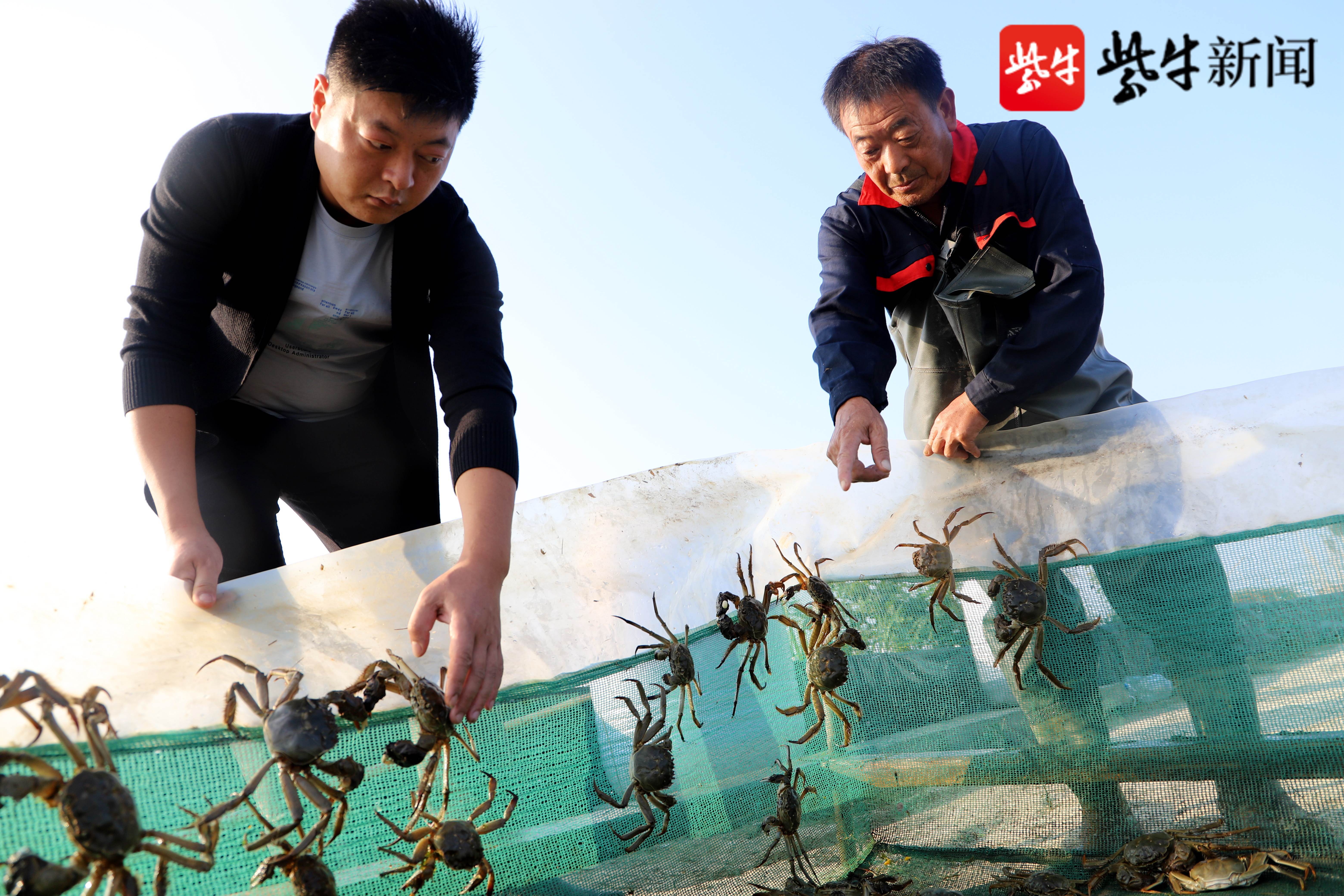 江南百景图螃蟹怎么获得_螃蟹江南百景图_螃蜞江南百景图怎么获得