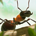 蚂蚁指挥官游戏官方最新版