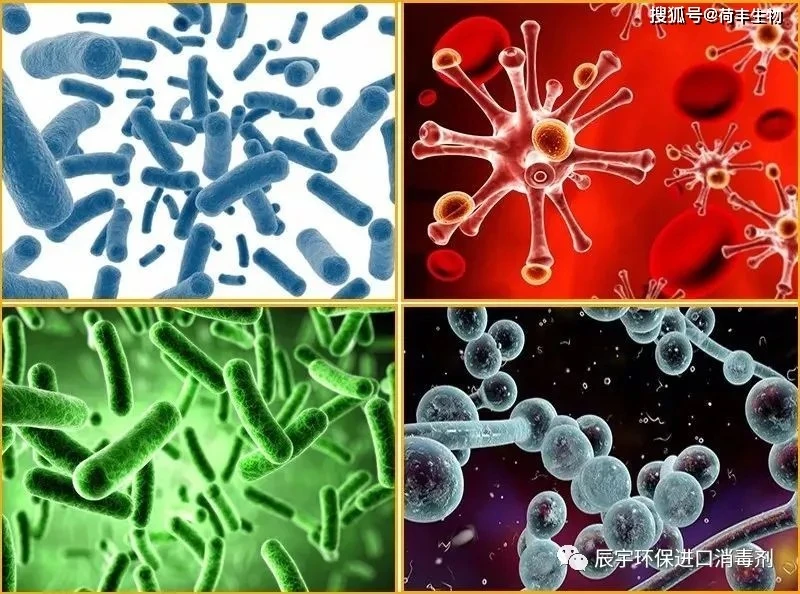 细菌大战：小生物肆虐，世界将何去何从？