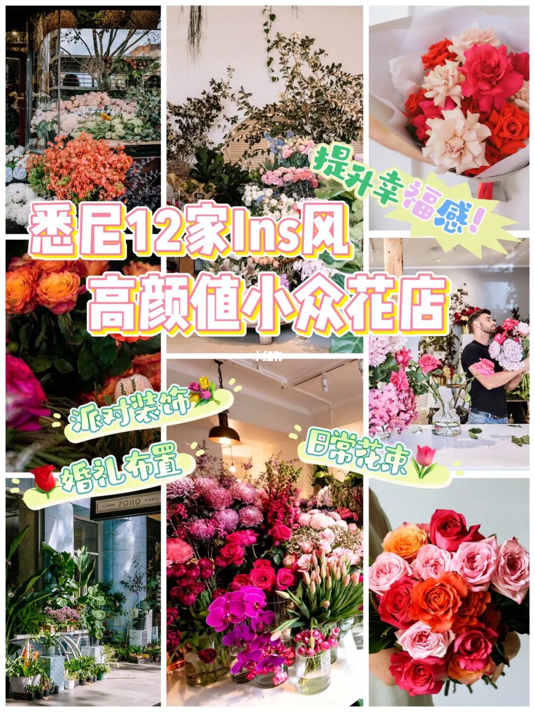 原色花长什么样子_原色堂图文广告_原色花堂