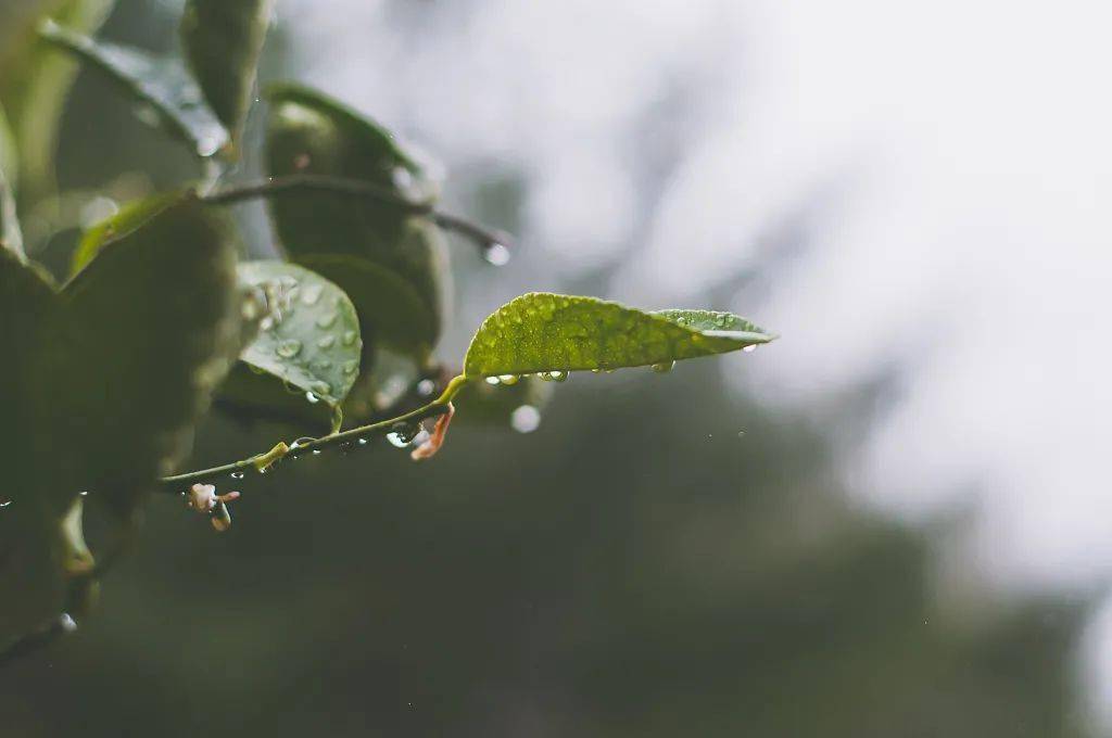 雨裁_裁雨留虹是什么意思_裁雨留虹