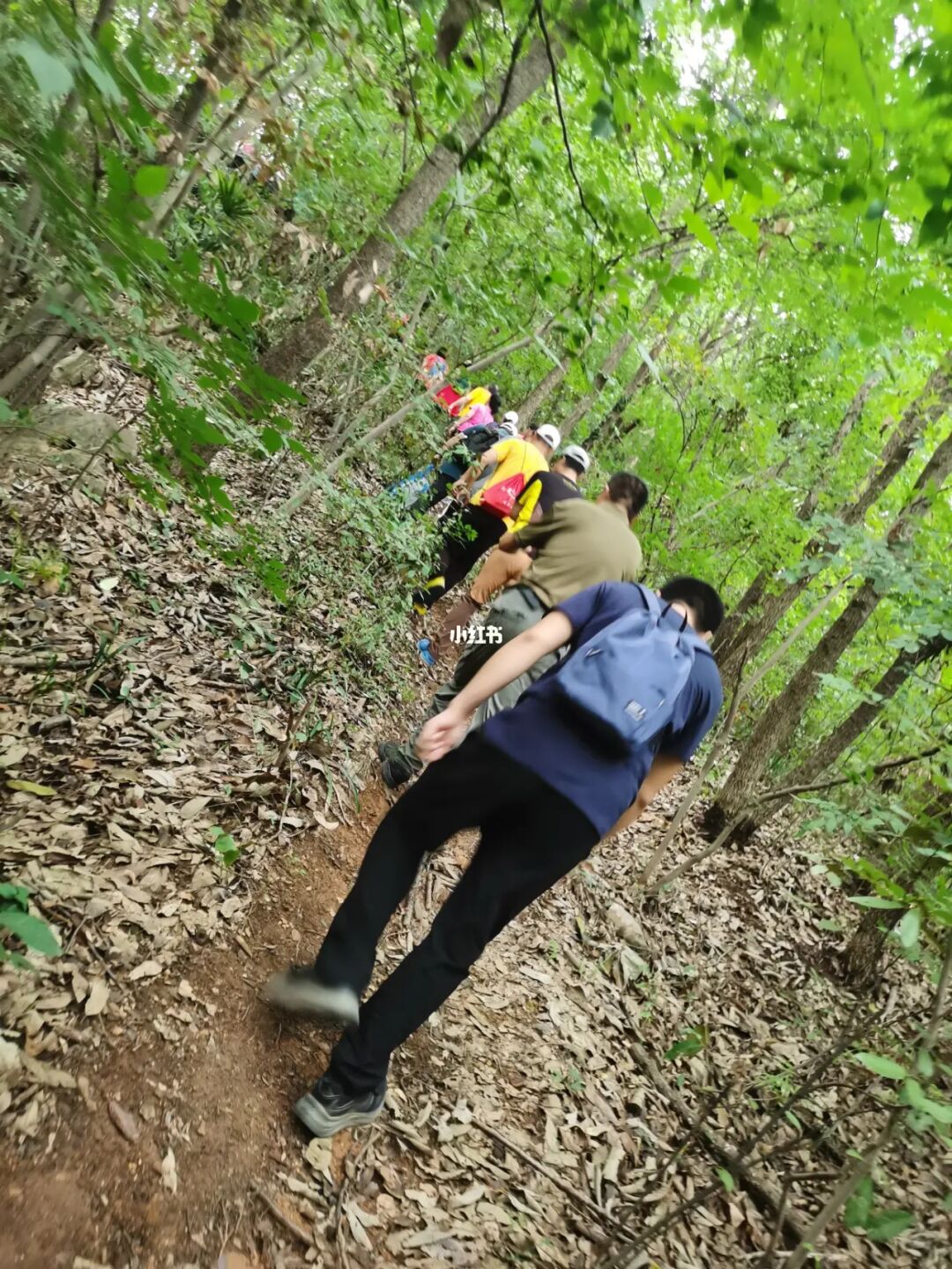 熊友_熊友华_熊友华医生