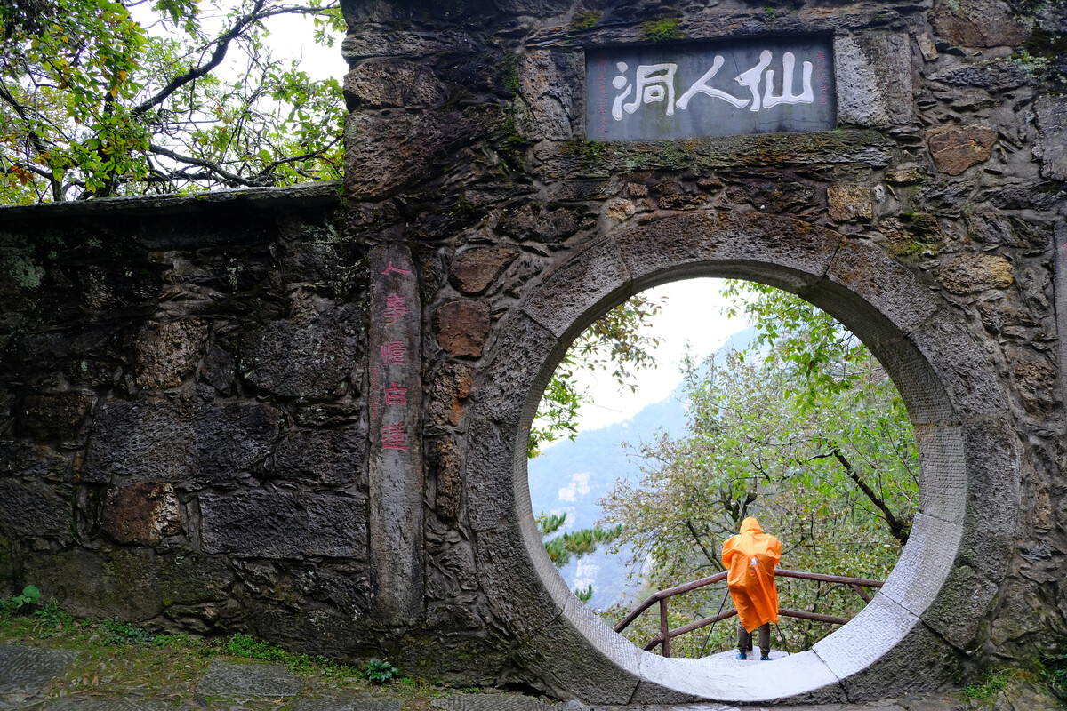 岚月_网王岚月_岚月画师