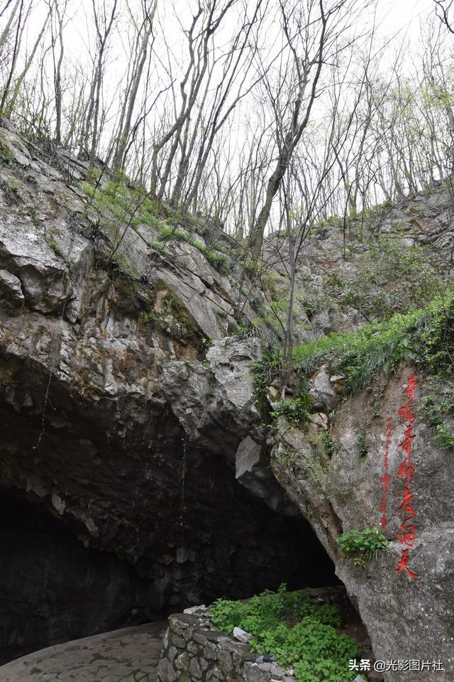 网王岚月_岚月画师_岚月