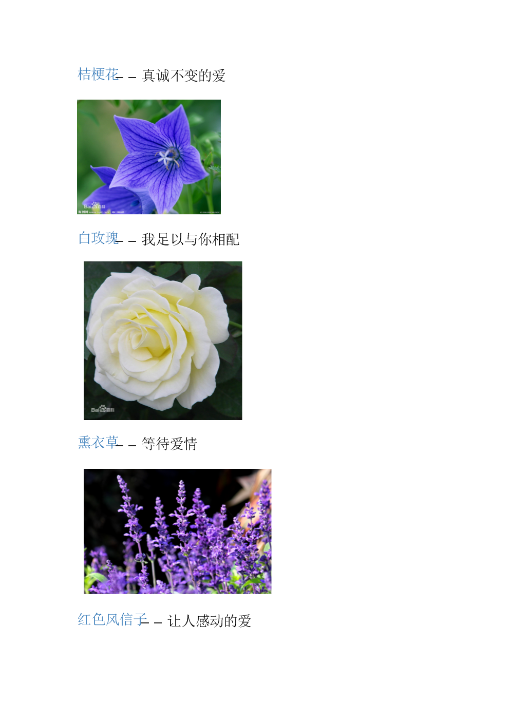 花语下载_花语app下载地址_花语网站