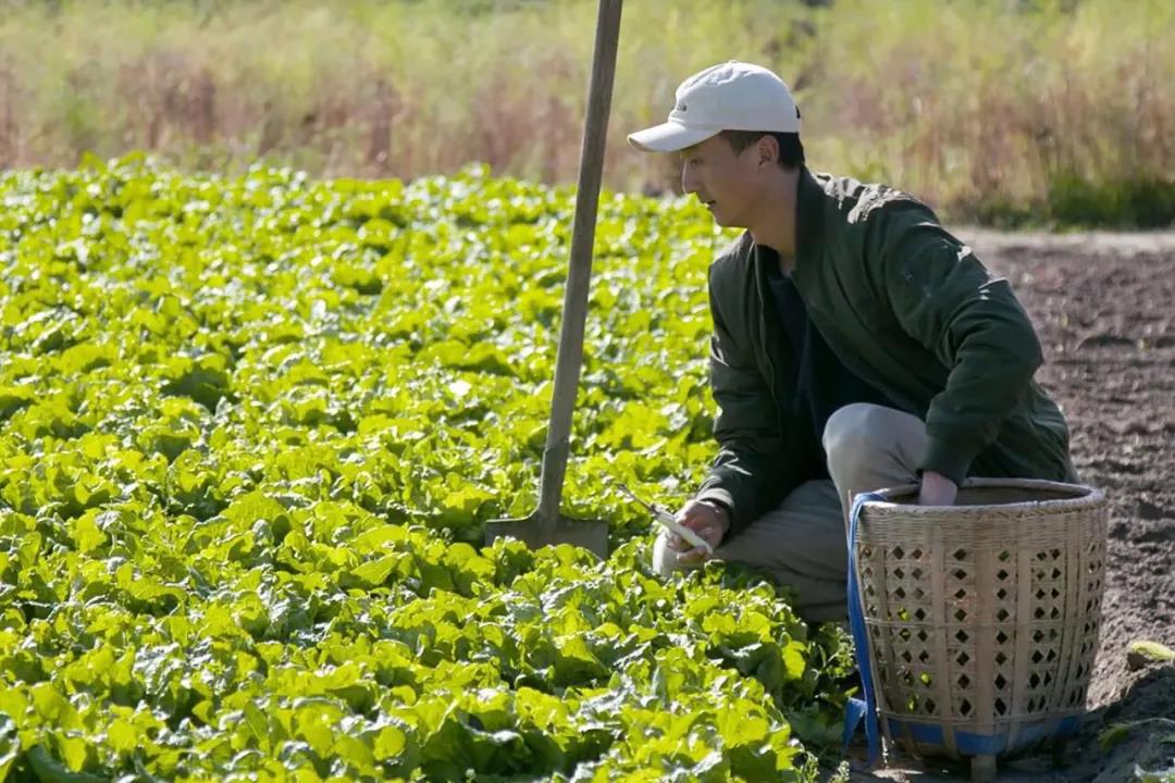 农场模拟器22无限金币版下载_模拟农场_农场模拟器