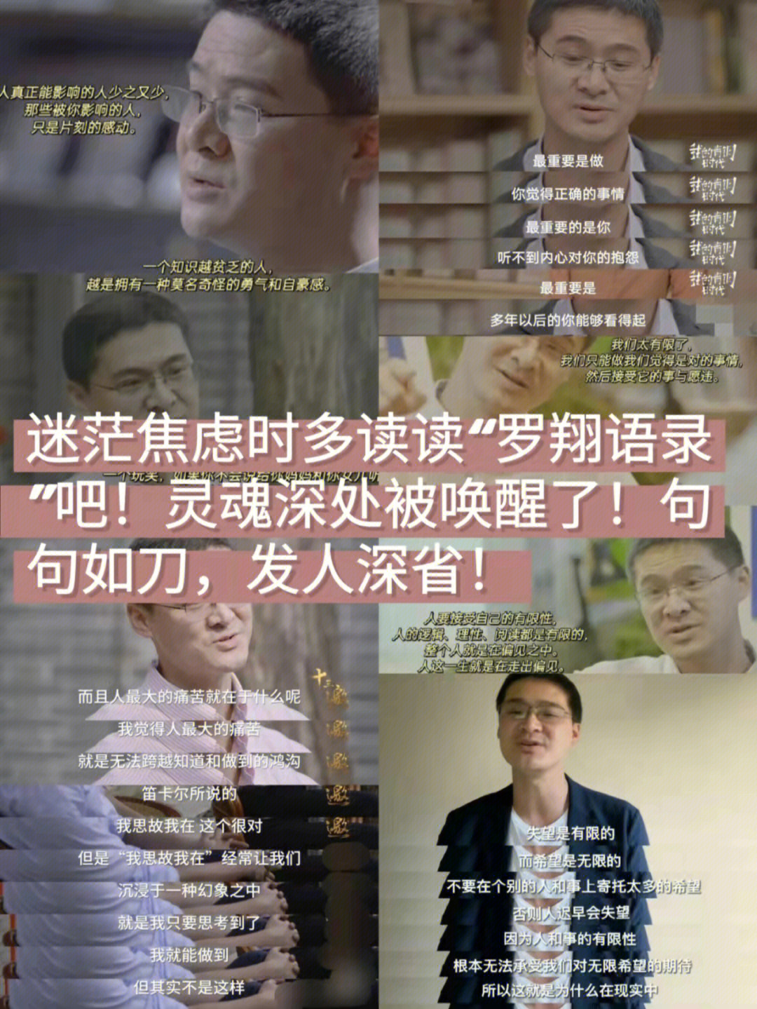 雏鸟短视频怎么找不到了_视频短找雏鸟到哪里找_雏鸟短视频怎么样
