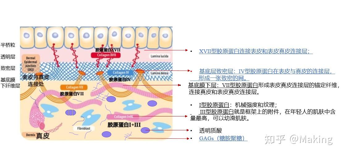 泉涩by：矿泉水狂热粉丝，我的生活方式