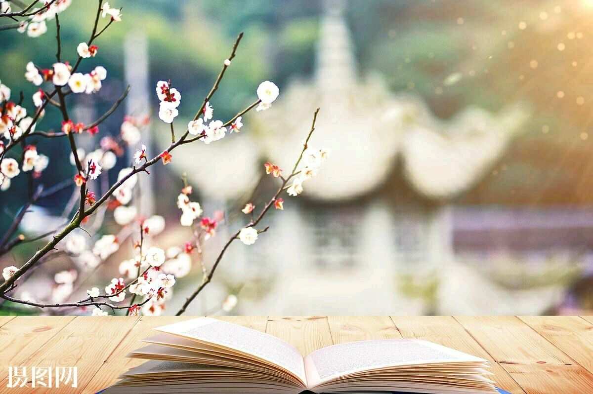 曲非烟怎么死的_曲非烟如果不死_曲非烟