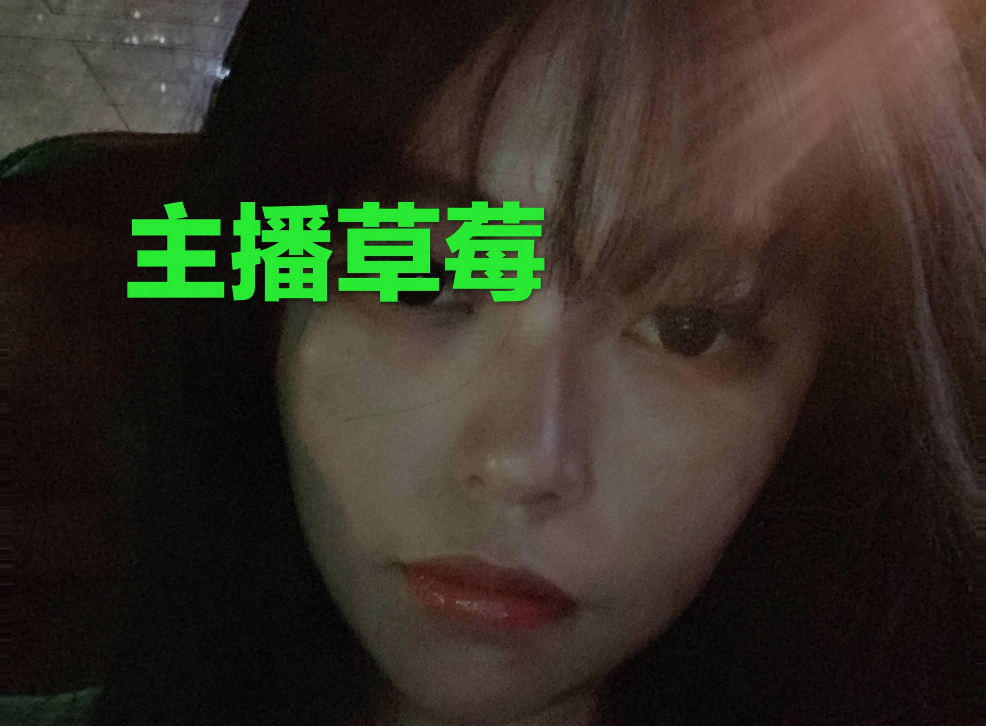 免费高清直播