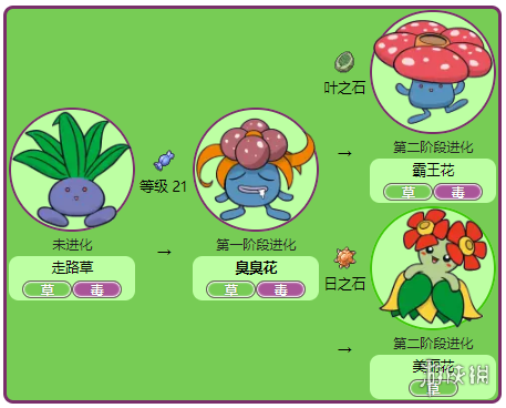 臭臭泥：惊人进化之谜
