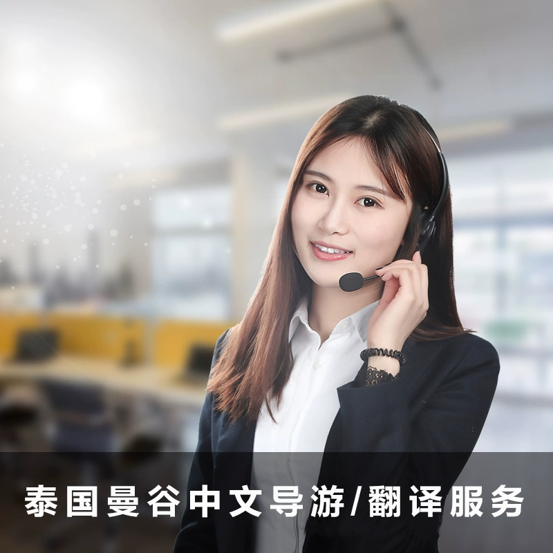 派普辐射4_派普约阿希姆_派普