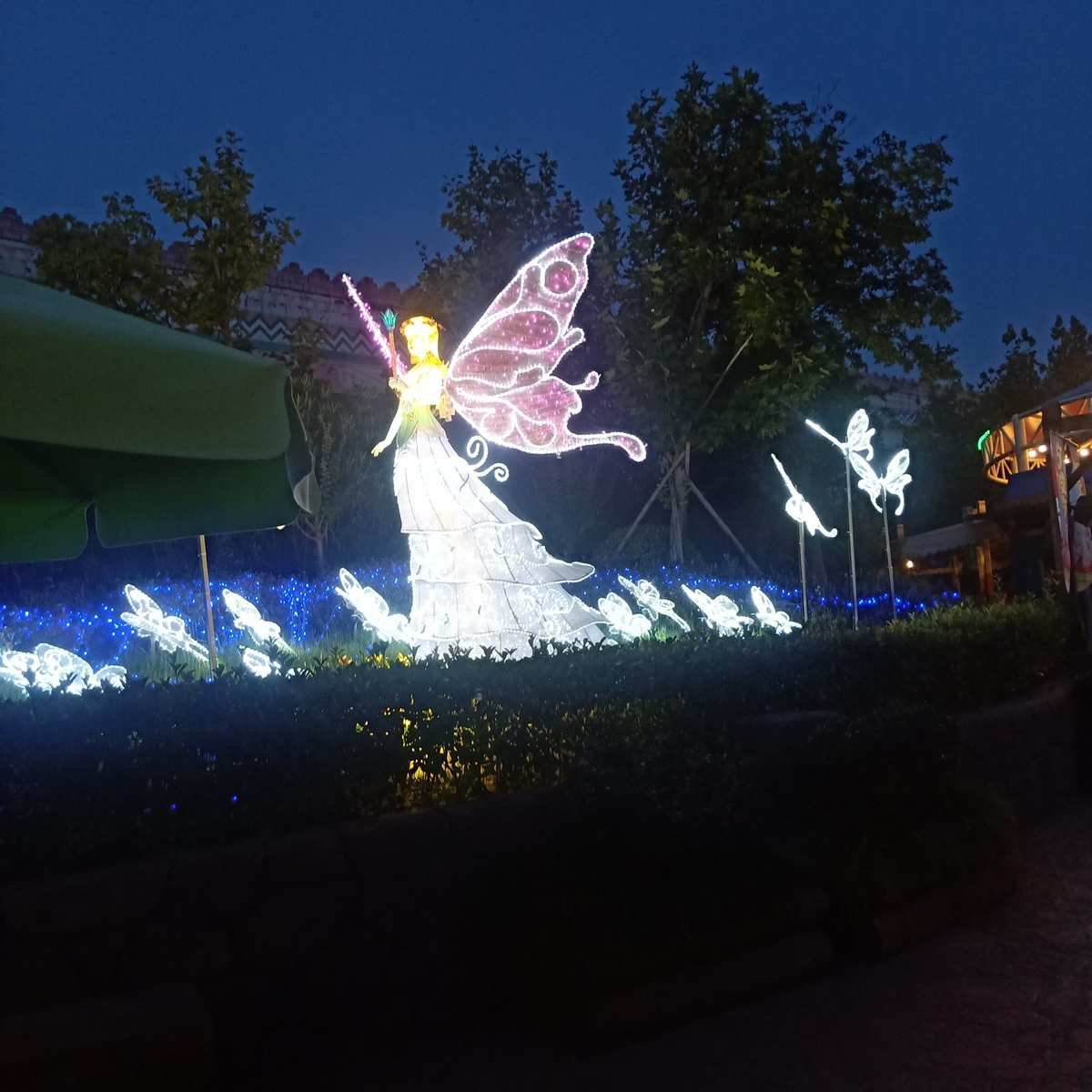 蝴蝶仙子新造型_蝴蝶仙子1_蝴蝶花仙子