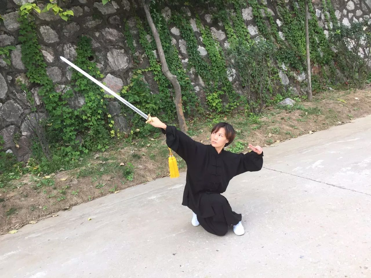 乾坤剑武魂_剑武乾坤_乾坤剑武帝景言
