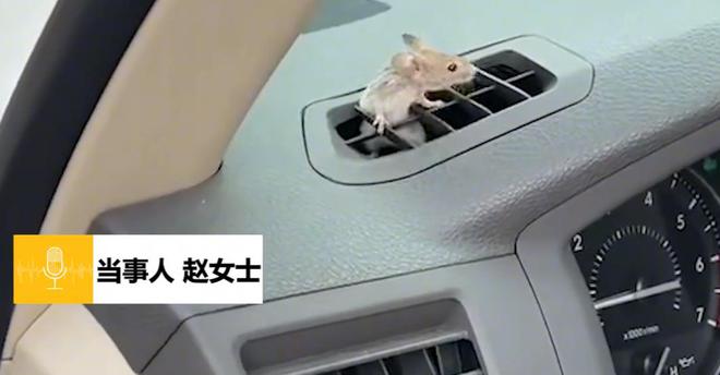晚上开车又叫又疼的声音视频下载_晚上开车又叫又疼的声音视频下载_晚上开车又叫又疼的声音视频下载