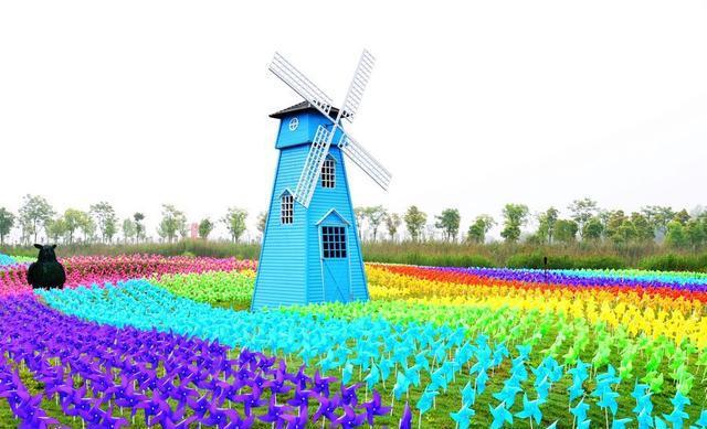 风车樱花_风车樱花_风车樱花