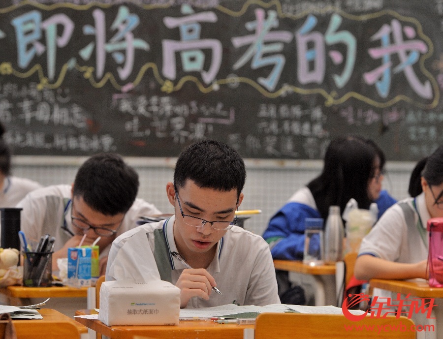 高考阳光网官网下载_阳光高考网app下载_下载高考阳光平台