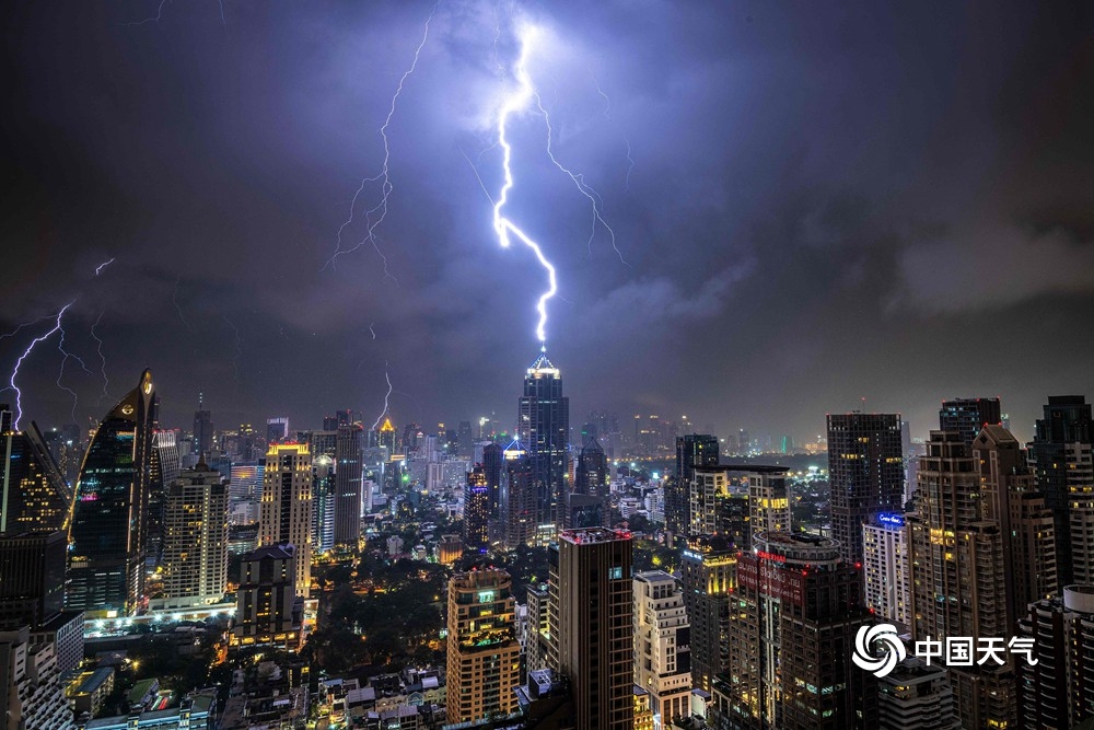 惊爆！揭秘宝可梦世界雷电传奇