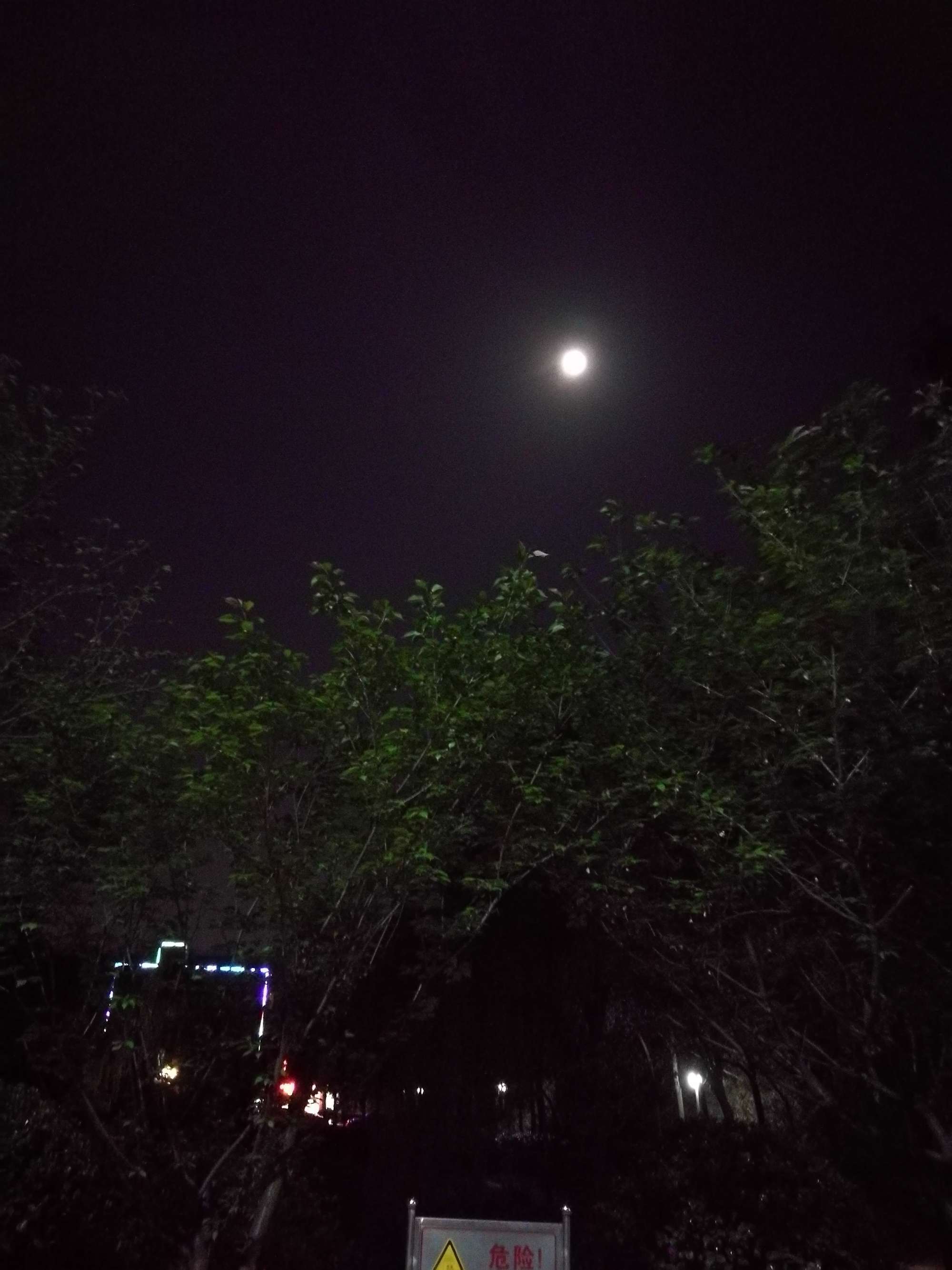 小巷散落的月光，增添了几分神秘