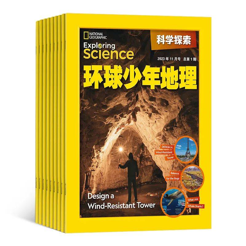 新奇书网电子书TXT下载_新奇书_新奇书网全本免费下载