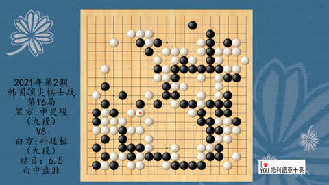 围棋人机对弈软件排名_围棋人机对弈软件下载_围棋人机对弈软件