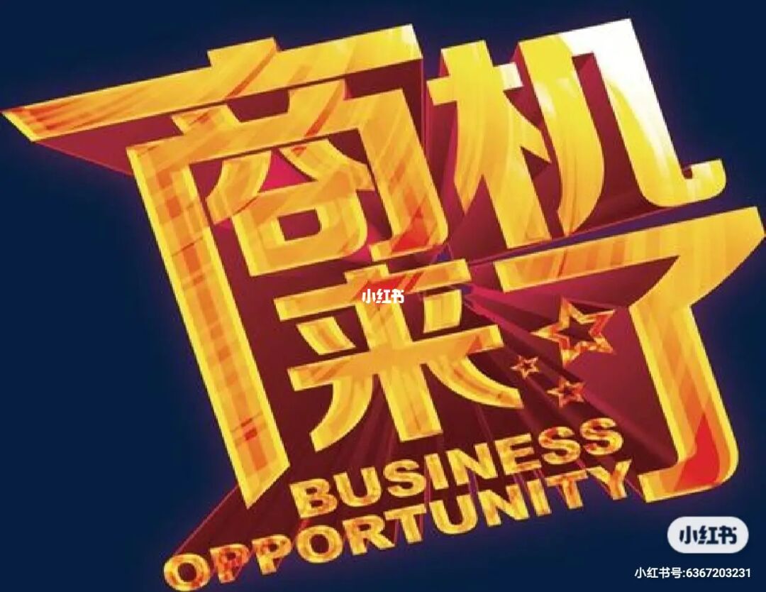 畅游文化之海 | 世界通：探索全球文化的必备指南