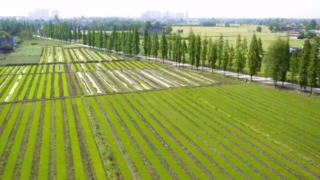 开启区块显示_我的世界显示区块_1.7.10显示区块