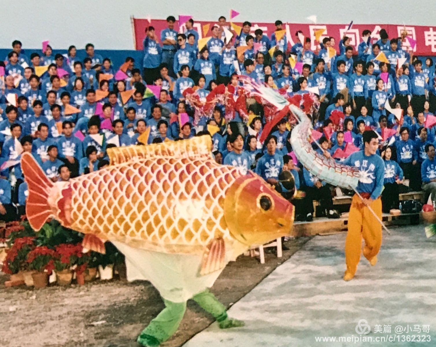 鲤鱼乡骚受_鲤鱼乡骚受_鲤鱼乡骚受