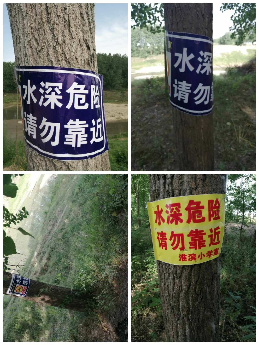 避难生存所下载_避难所生存_避难生存所游戏破解版