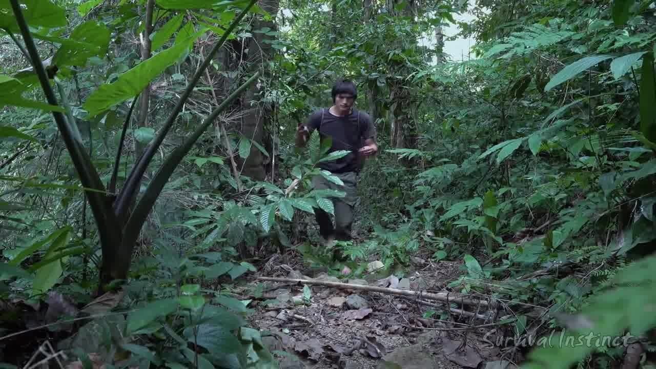 无人岛生存rpg黄油_岛高压黄油注油器_魔兽rpg生存小镇攻略