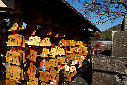 琉璃神社最新_琉璃神社最新_琉璃神社最新
