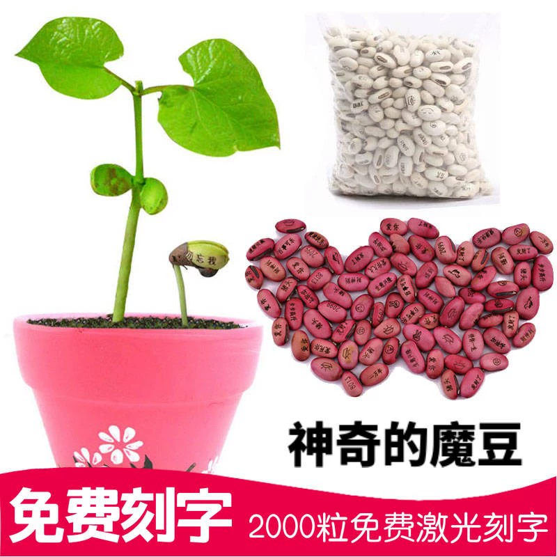 种植类游戏_种植物游戏_种植小游戏