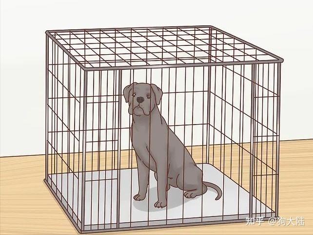 打开笼子英语_笼子英语_笼子英语单词怎么读