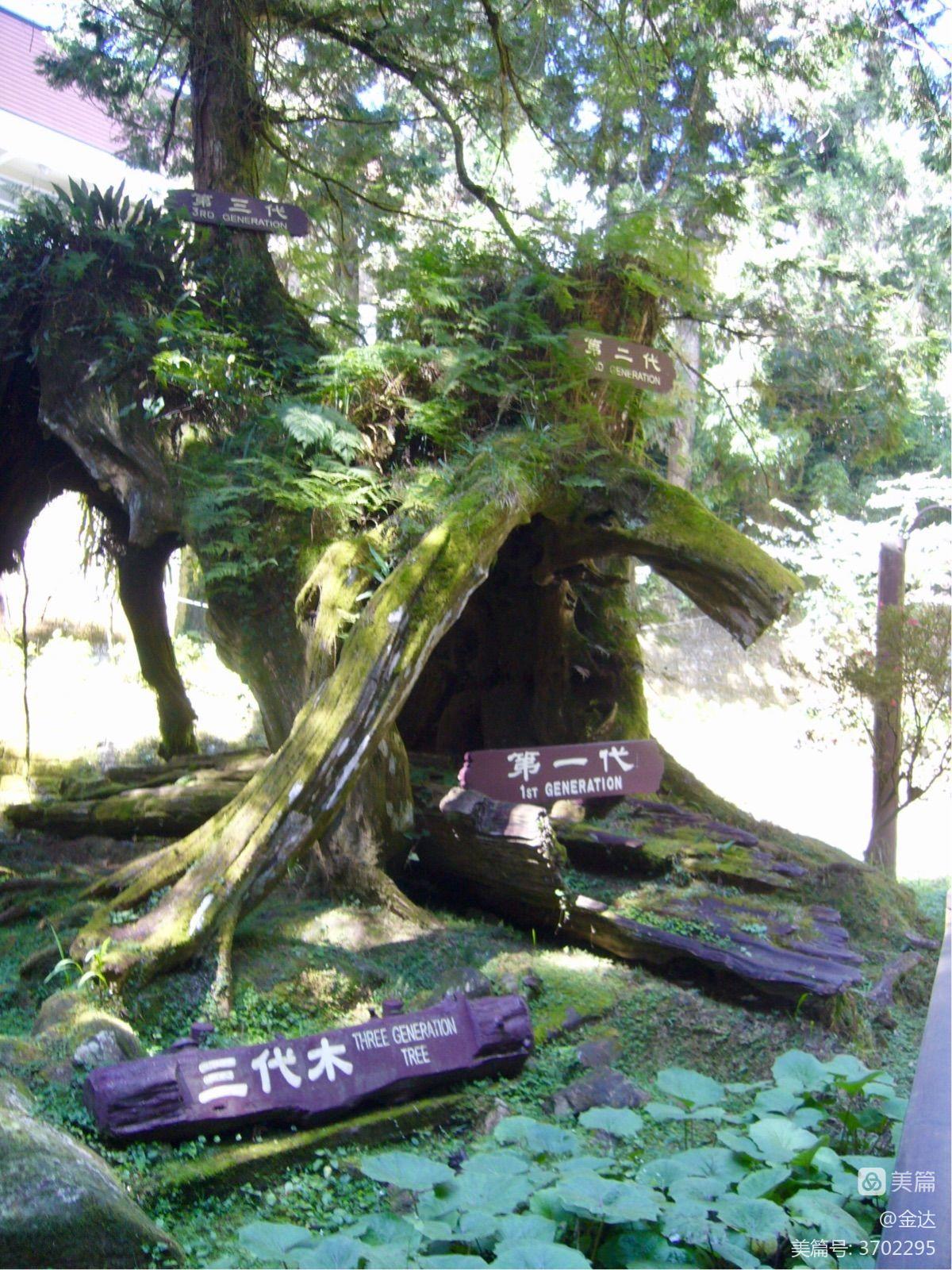 田左右出头是什么字_田左右出头念什么_左右田和一