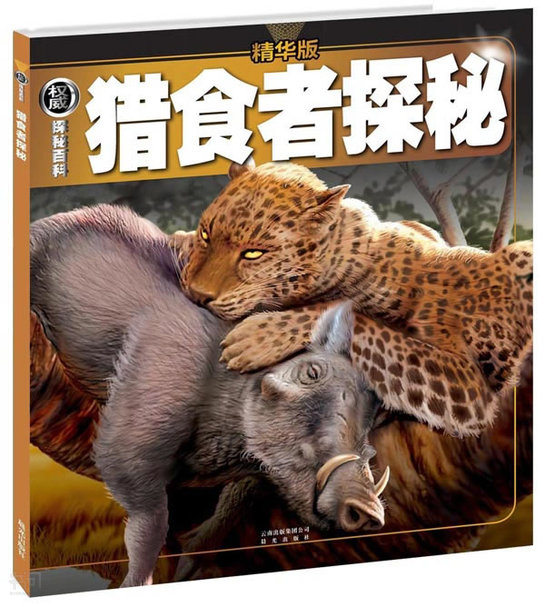 捕食日_鹰捕食狼_蜘蛛捕食苍蝇