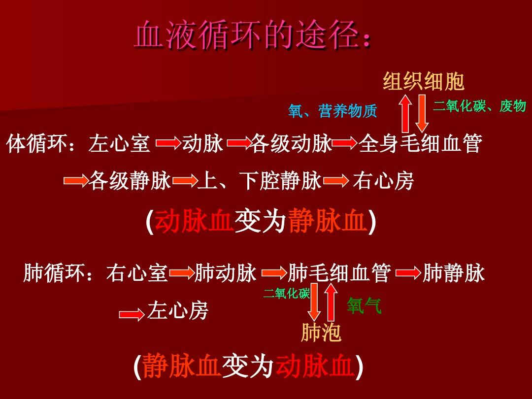 人体工厂眼睛投影攻略_人体工厂_人体工厂肾上腺素那关怎么过