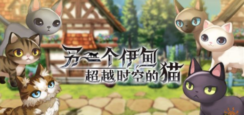 超越时空的邂逅：感受奇迹，遇见猫