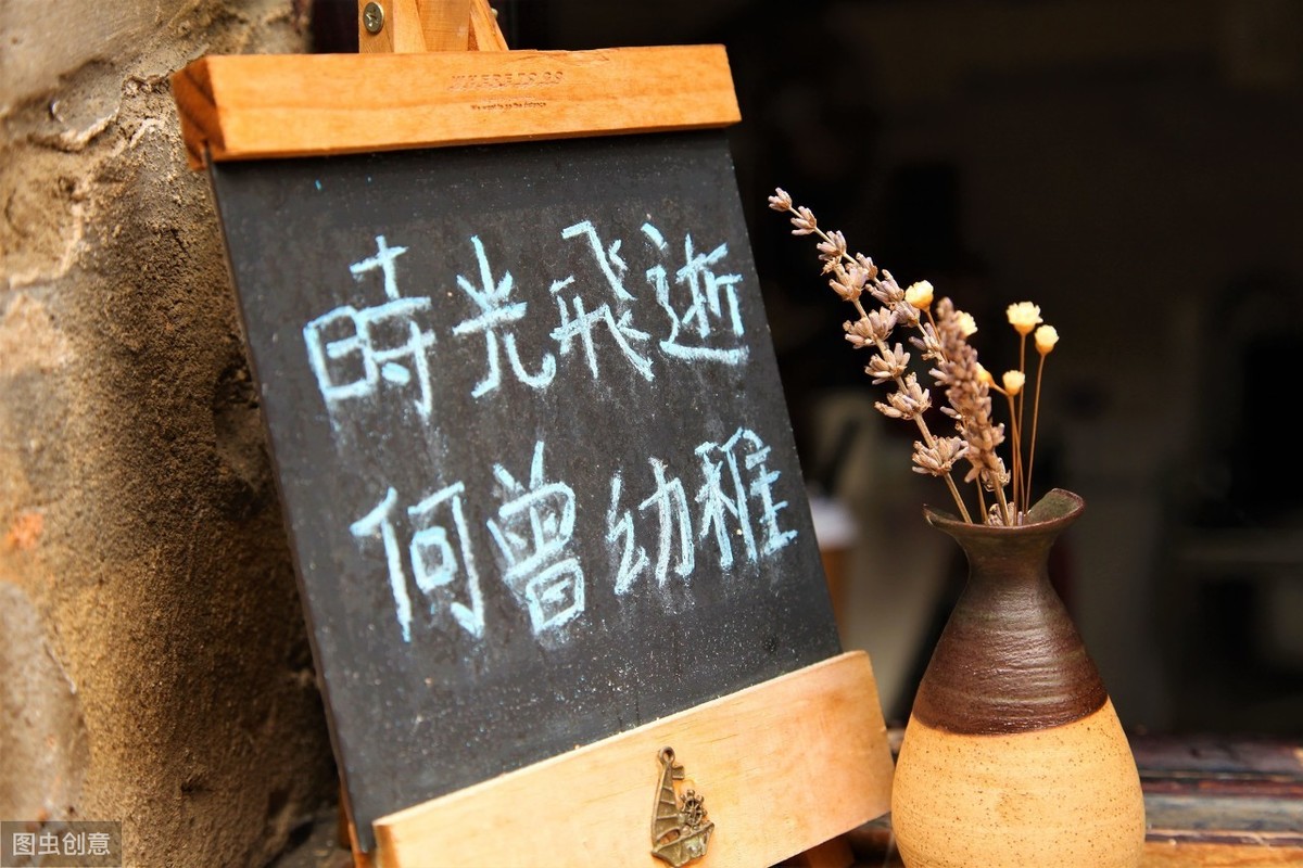 穿越历史长河，探寻时光回溯之旅